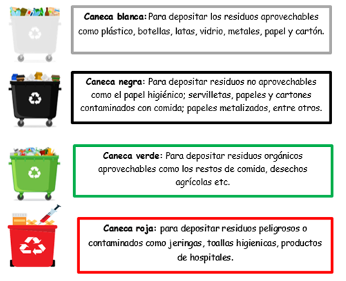 canecas 
