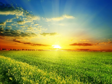 sol